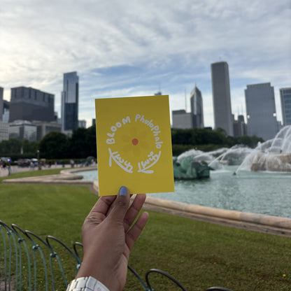Hand holding the yellow Flower Bloom Phulo Phalo greeting card against the Chicago skyline and Buckingham Fountain.