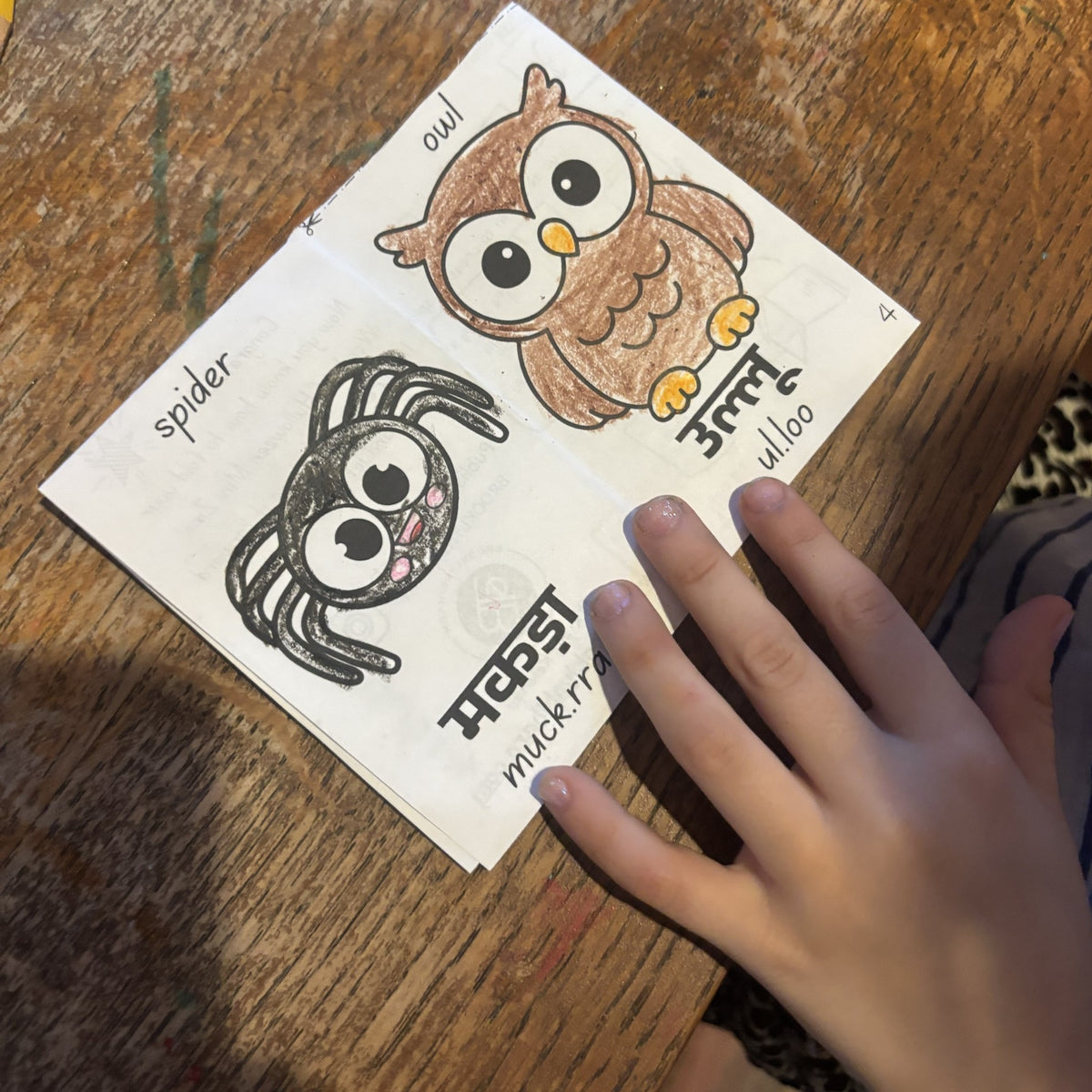 Colored owl and spider pages with the Hindi words उल्लू and मकड़ा